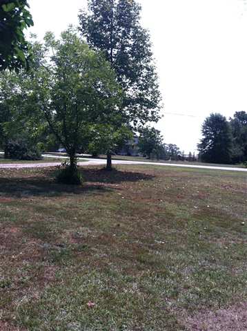 323 Browning Road Central, SC 29630 - Photo 10 of 12 Gallery Image 10