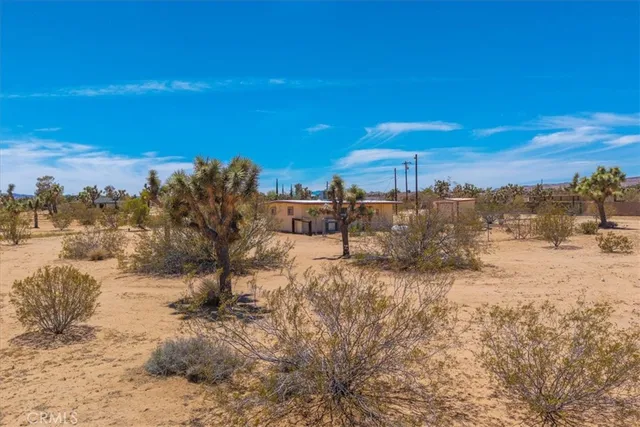 a view of a beach with a snow in the background