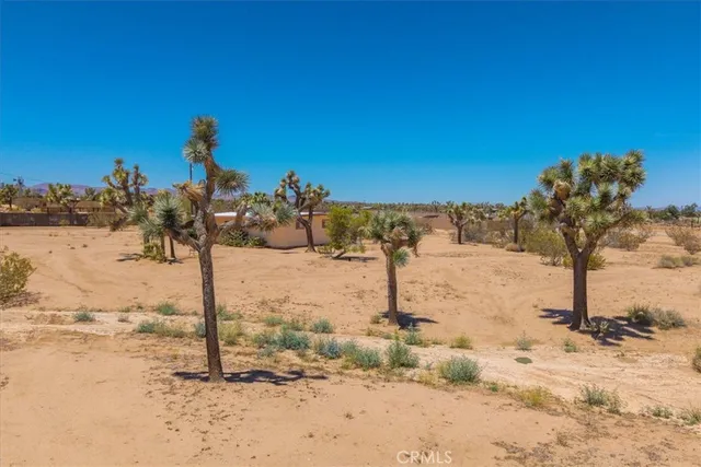 a view of a yard covered in snow