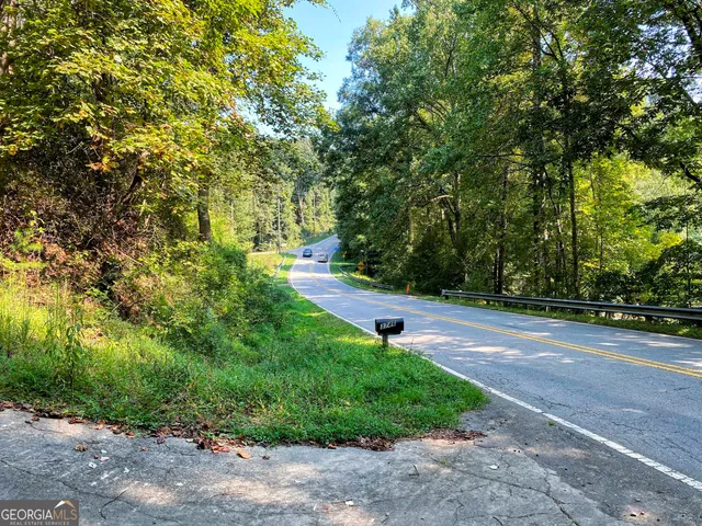 a view of yard with green space