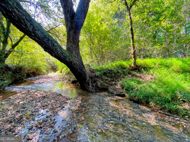 a view of backyard with tree