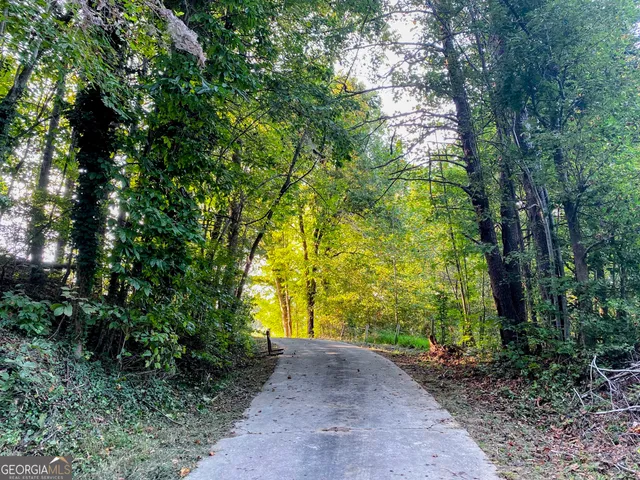a view of a yard with plants and trees