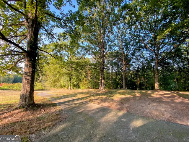 a view of outdoor space with trees