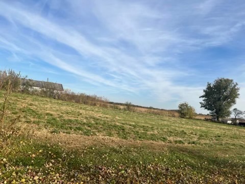 South South Maple Street Wyanet, IL 61379 - Photo 1 of 2
