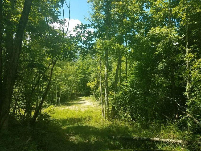 0 Locust Grove Road New Tazewell, TN 37825 - Photo 13 of 30 13