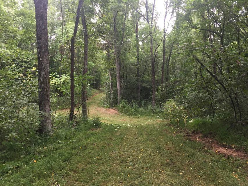 0 Locust Grove Road New Tazewell, TN 37825 - Photo 14 of 30 14