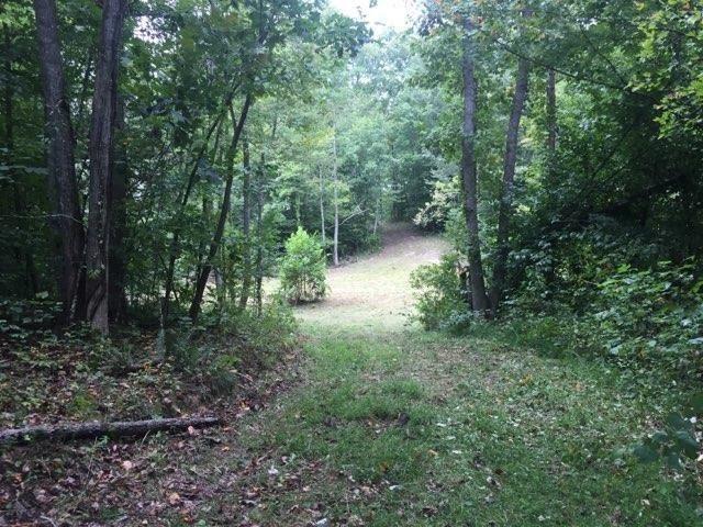 0 Locust Grove Road New Tazewell, TN 37825 - Photo 15 of 30 15