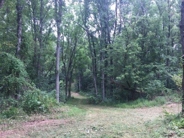 0 Locust Grove Road New Tazewell, TN 37825 - Photo 16 of 30 16