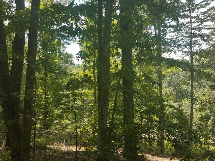0 Locust Grove Road New Tazewell, TN 37825 - Photo 17 of 30 17