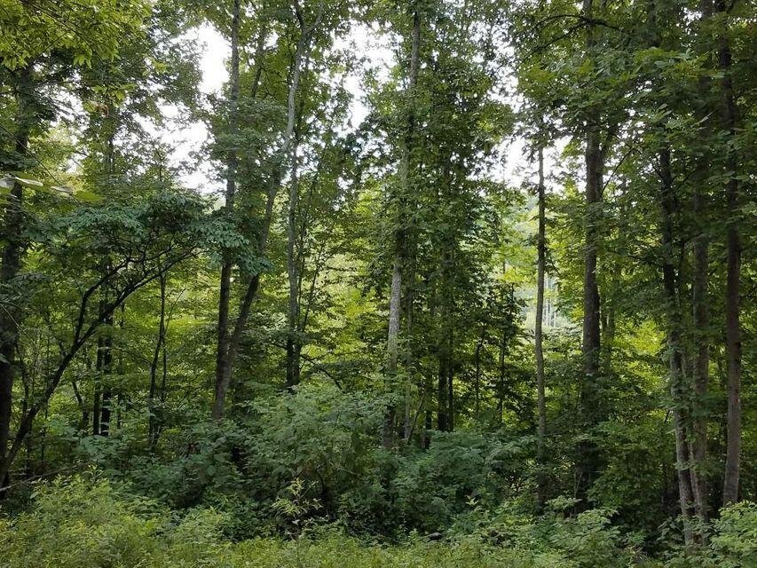 0 Locust Grove Road New Tazewell, TN 37825 - Photo 18 of 30 18