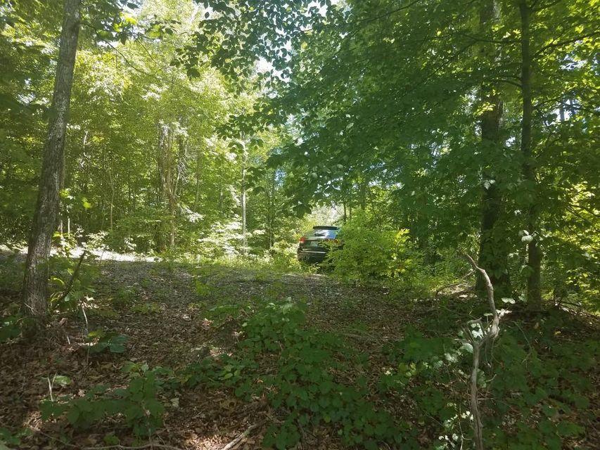 0 Locust Grove Road New Tazewell, TN 37825 - Photo 19 of 30 19