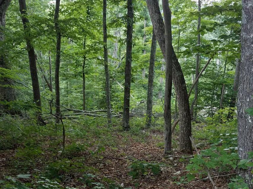 0 Locust Grove Road New Tazewell, TN 37825 - Photo 20 of 30 20