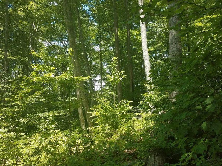 0 Locust Grove Road New Tazewell, TN 37825 - Photo 23 of 30 23