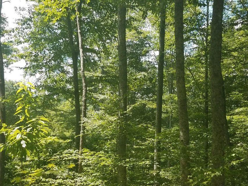 0 Locust Grove Road New Tazewell, TN 37825 - Photo 24 of 30 24