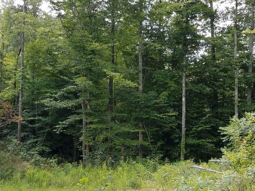 0 Locust Grove Road New Tazewell, TN 37825 - Photo 25 of 30 25