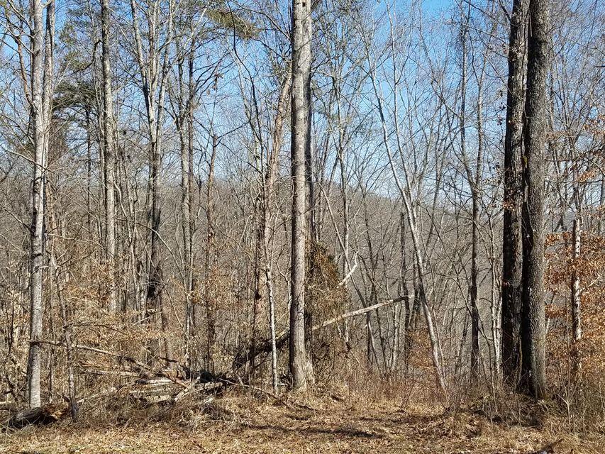 0 Locust Grove Road New Tazewell, TN 37825 - Photo 26 of 30 26