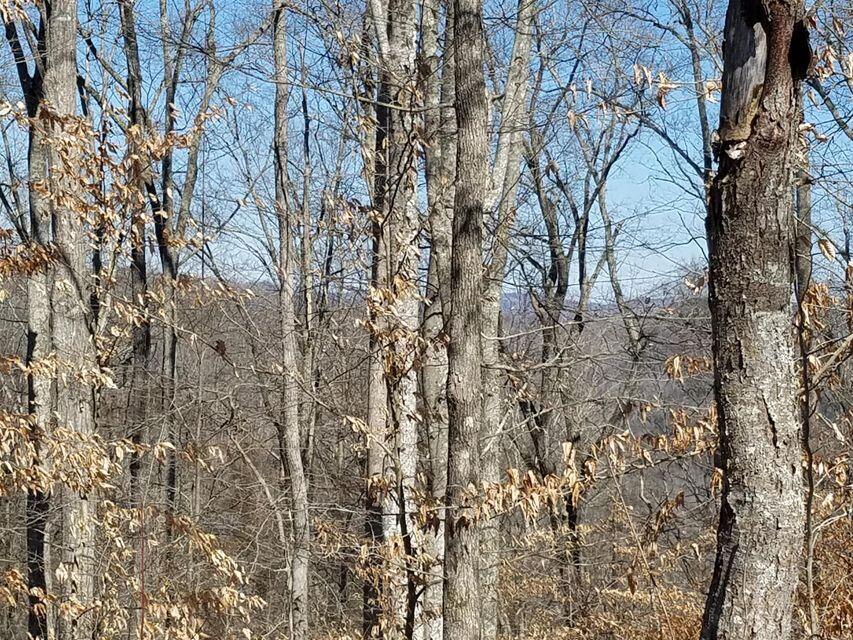 0 Locust Grove Road New Tazewell, TN 37825 - Photo 27 of 30 27