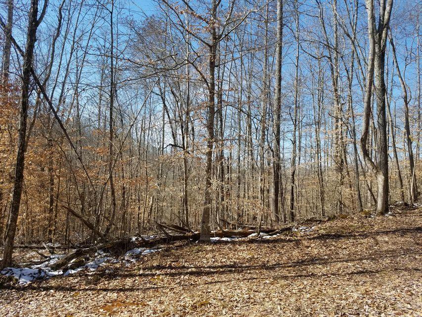 0 Locust Grove Road New Tazewell, TN 37825 - Photo 28 of 30 28