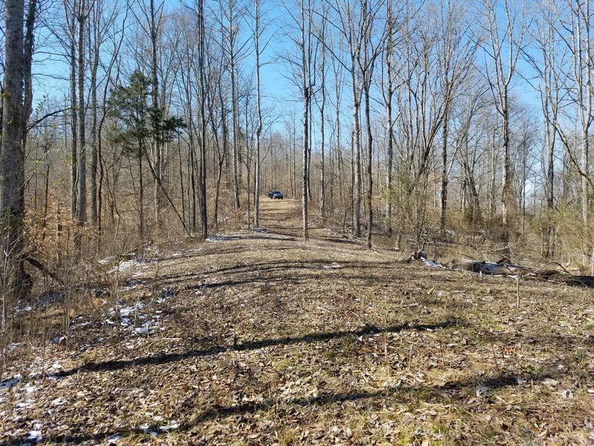 0 Locust Grove Road New Tazewell, TN 37825 - Photo 29 of 30 29