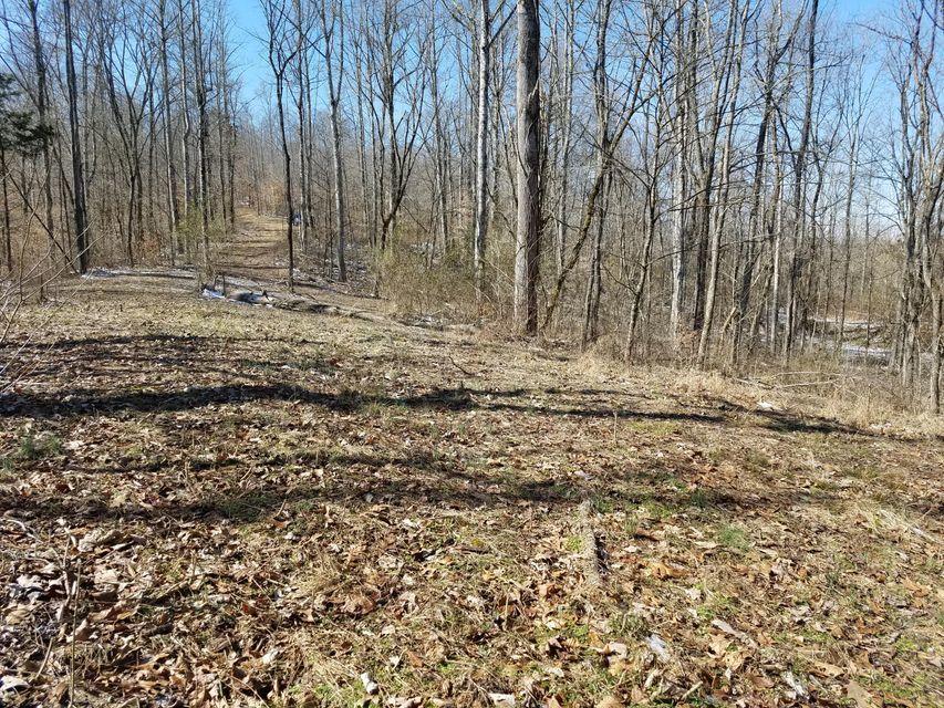 0 Locust Grove Road New Tazewell, TN 37825 - Photo 30 of 30 30