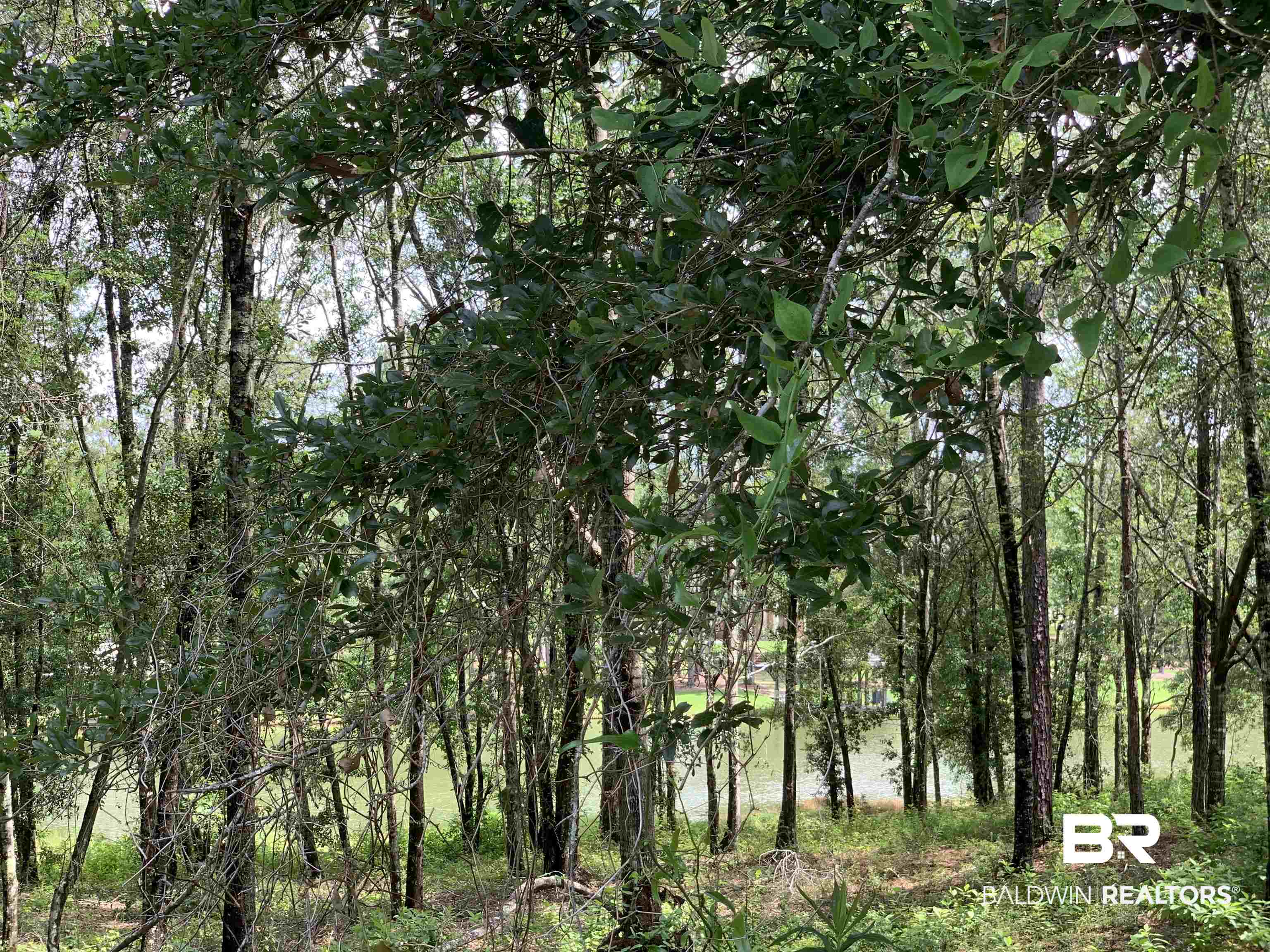 Lot 68 Sand Bar Lane Fairhope, AL 36532 - Photo 15 of 17