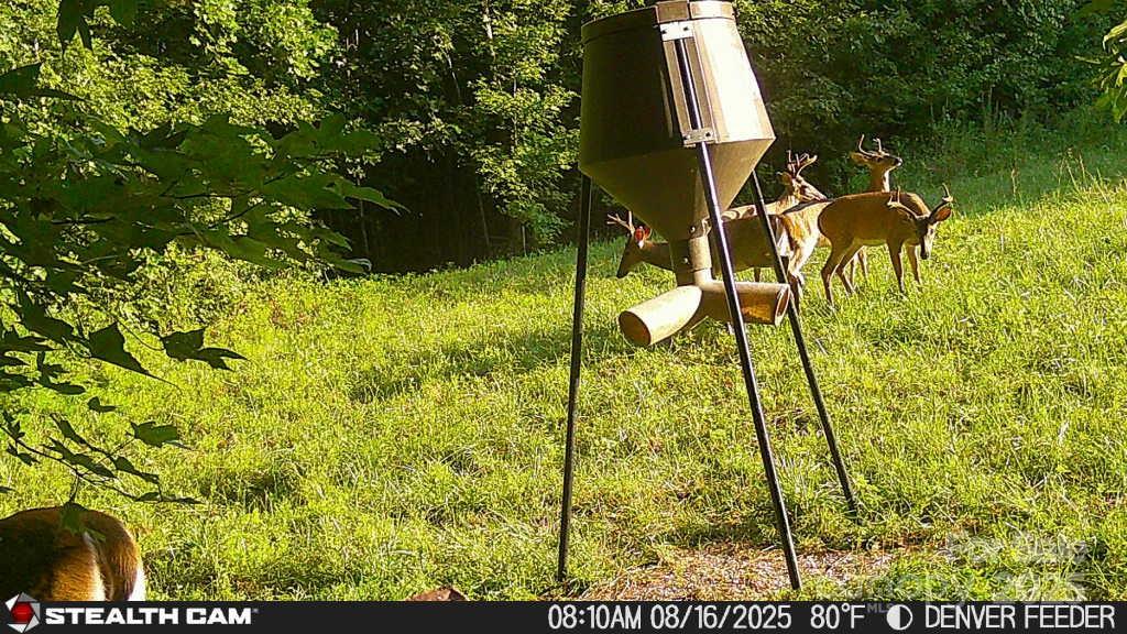 6229 King Wilkinson Road Denver, NC 28037 - Photo 13 of 14