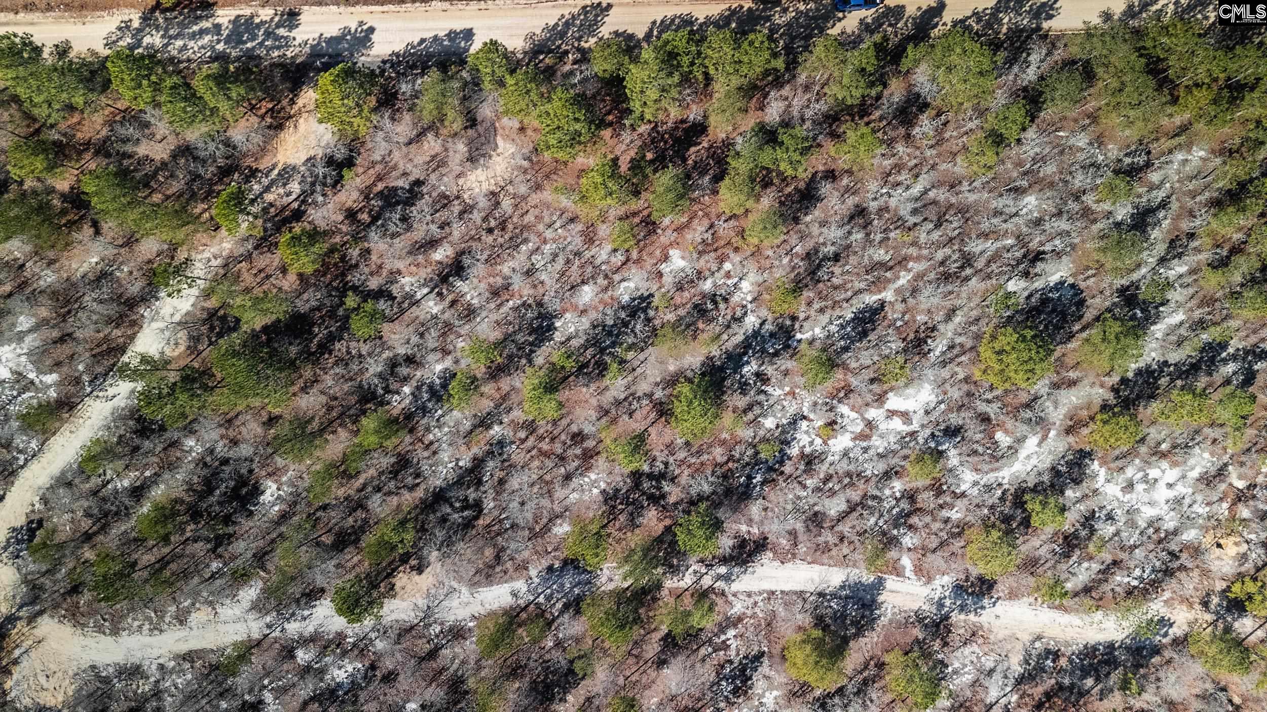 1 Spring Creek Road Lugoff, SC 29078 - Photo 7 of 14