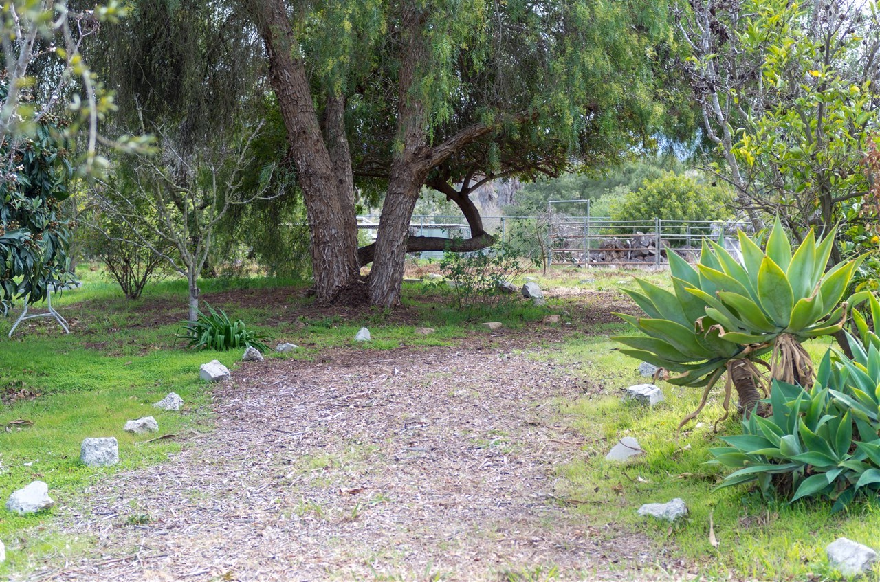 8912 West Lilac Road Escondido, CA 92026 - Photo 22 of 25 Interior road right off of the main parking area