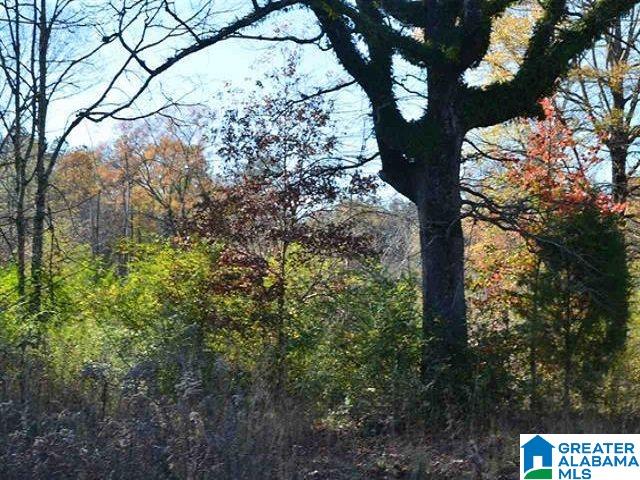 6605 Pocahontas Road, Unit 13 Bessemer, AL 35022 - Photo 1 of 2