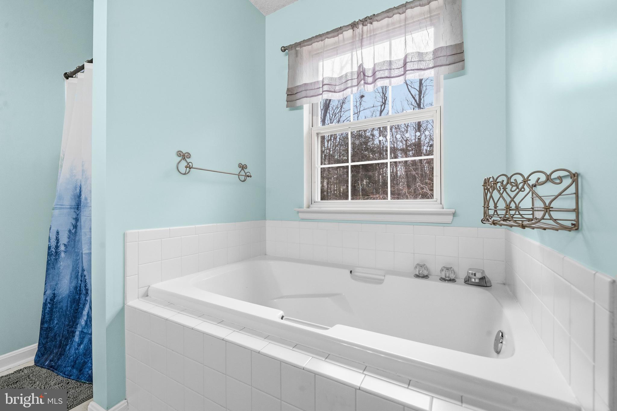 115 Myrtleleaf Circle La Plata, MD 20646 - Photo 26 of 37 a white bath tub sitting next to a window