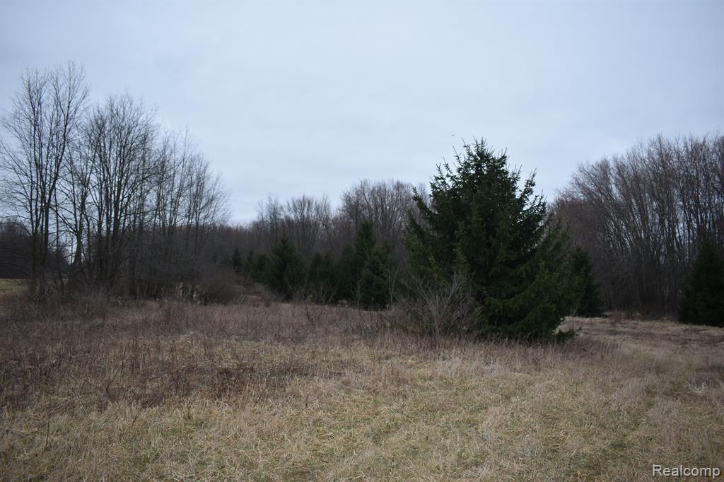 0 Roberts Road Stockbridge, MI 49285 - Photo 4 of 4
