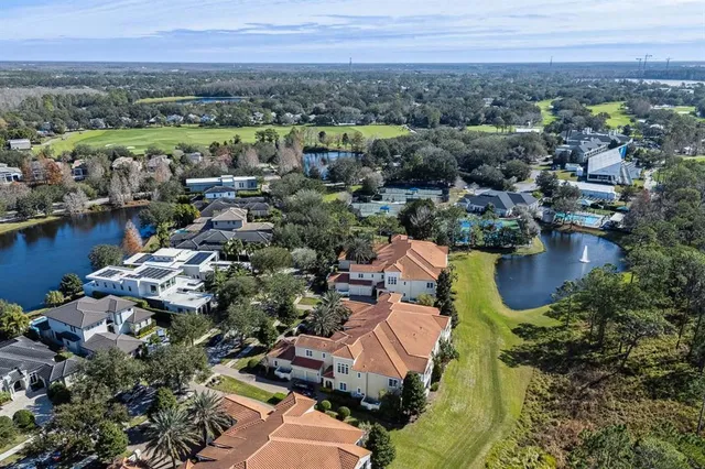 a view of flowers in a garden