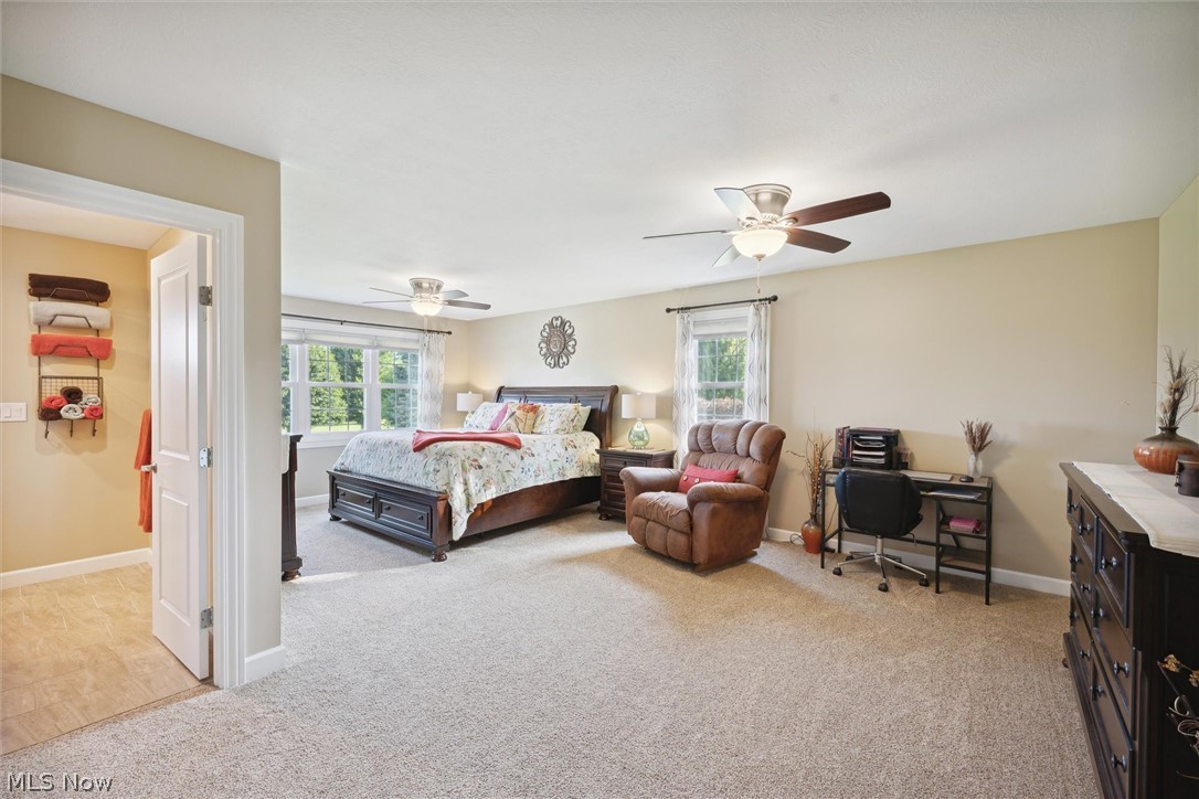 14001 Mason Road Vermilion, OH 44089 - Photo 6 of 22 Bedroom with light carpet, multiple windows, and ceiling fan