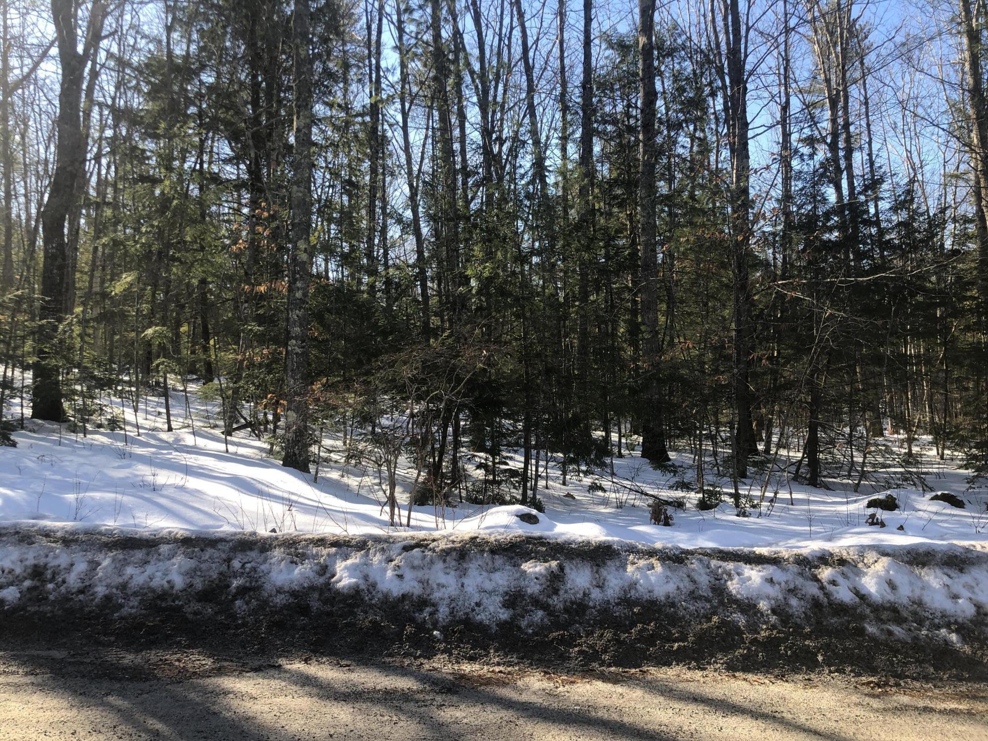 0 Nason Road Gorham, ME 04038 - Photo 2 of 4 IMG_1195