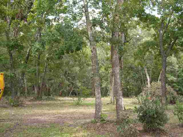 320 Smith Road Apalachicola, FL 32320 - Photo 1 of 1