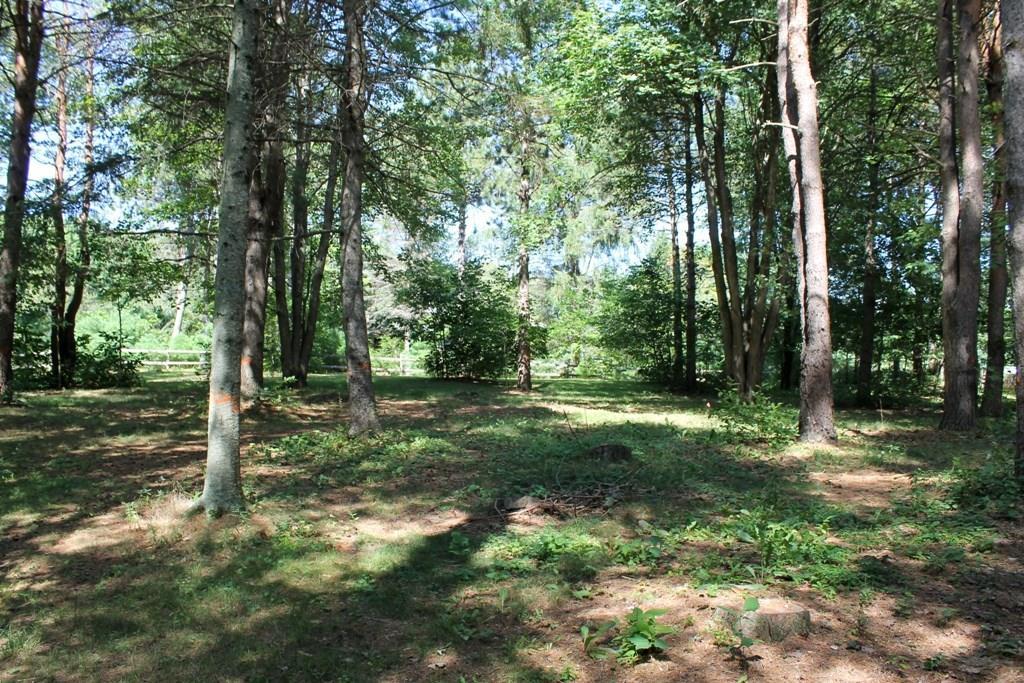204 Guinea Road Biddeford, ME 04005 - Photo 14 of 14 Yard