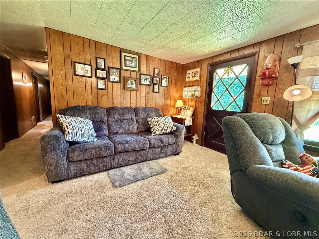 187 County Road Black, MO 63625 - Photo 17 of 50