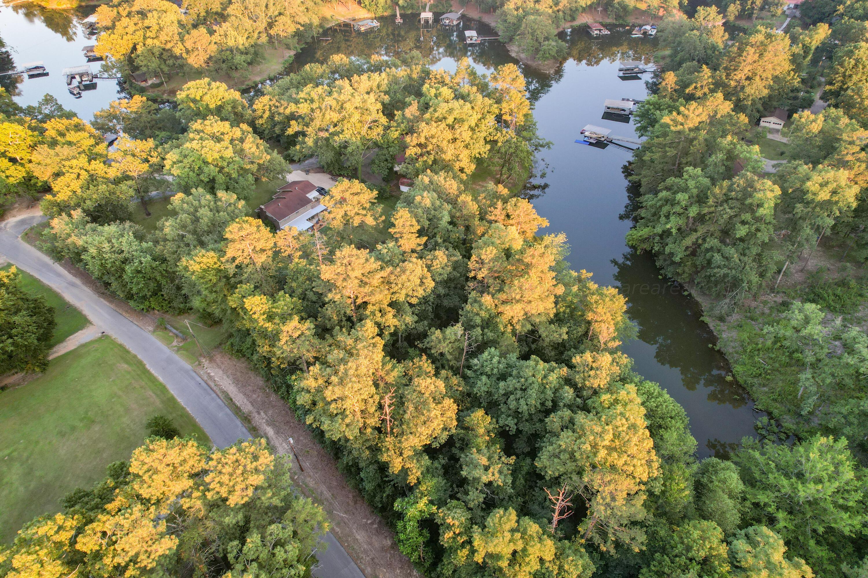 Lot 2 Pinedale Shores Road Jasper, AL 35503 - Photo 23 of 24 Gallery Image 23