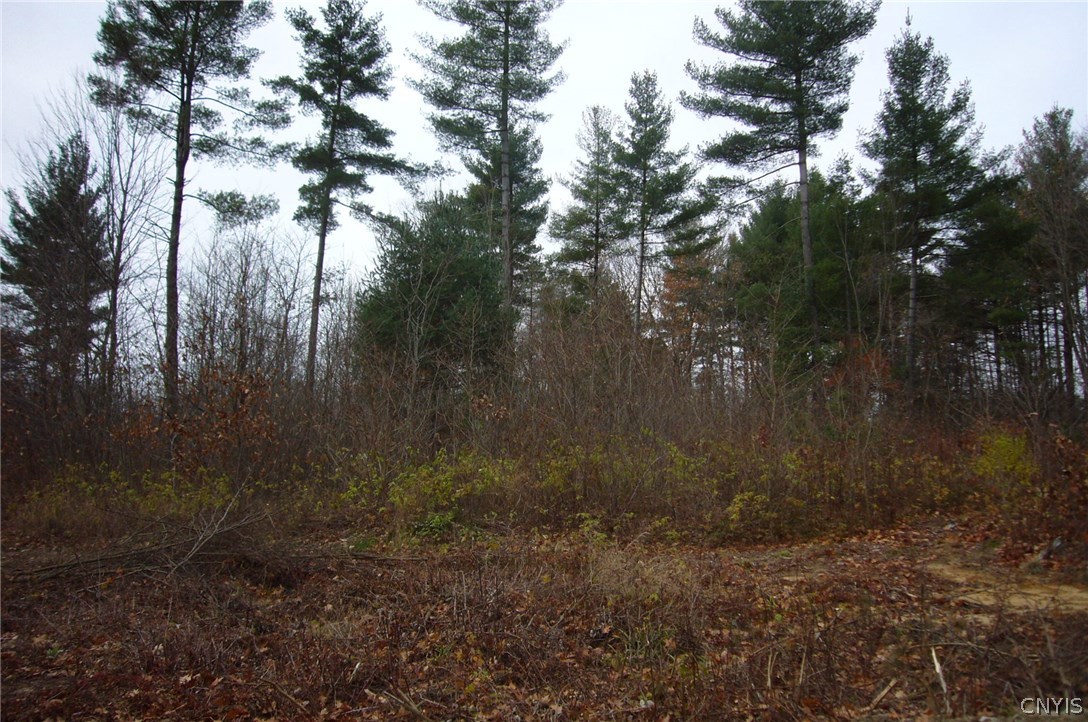 1111 River Road Fort Plain, NY 13339 - Photo 1 of 1 Gallery Image 1
