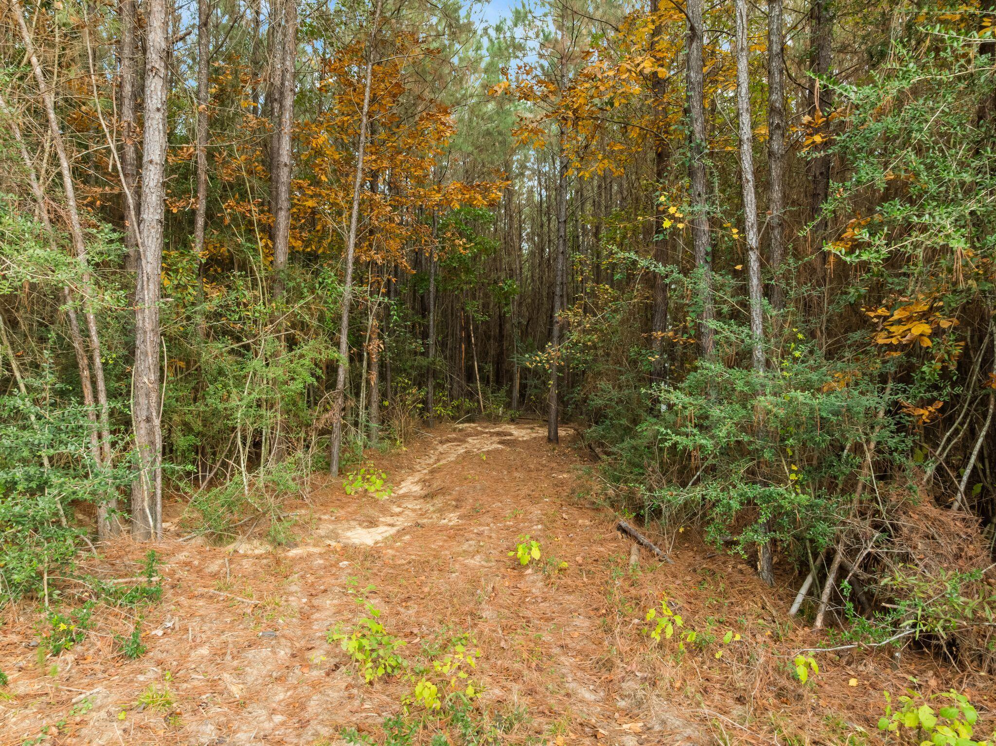 3830 Rocky Branch Road Sumrall, MS 39482 - Photo 59 of 64 3830_Rocky_Branch_Rd-59