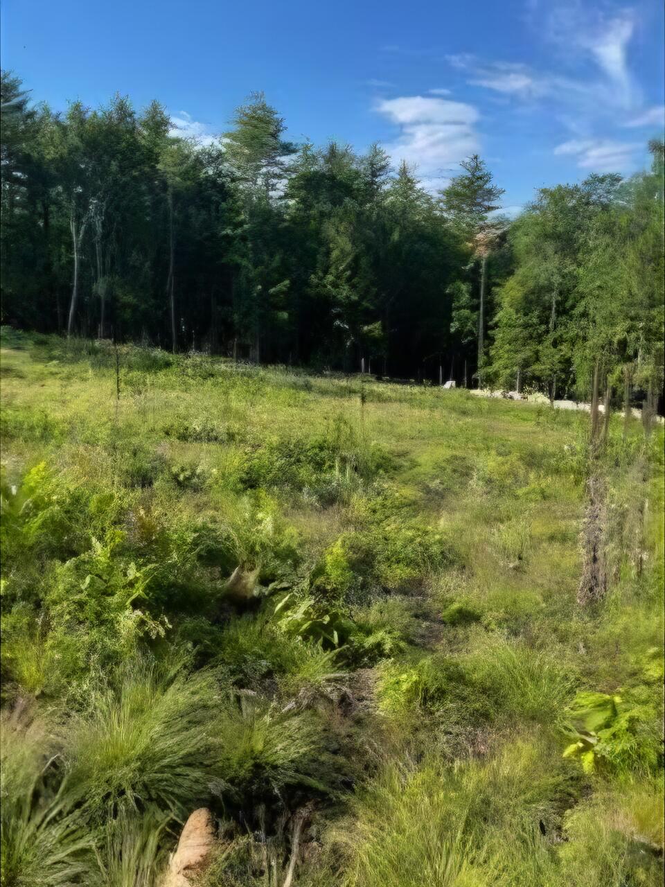 104 Smith Road Mapleton, ME 04757 - Photo 3 of 6 104 Smith - Lot