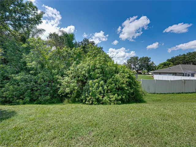 a view of a yard with plants and a large tree