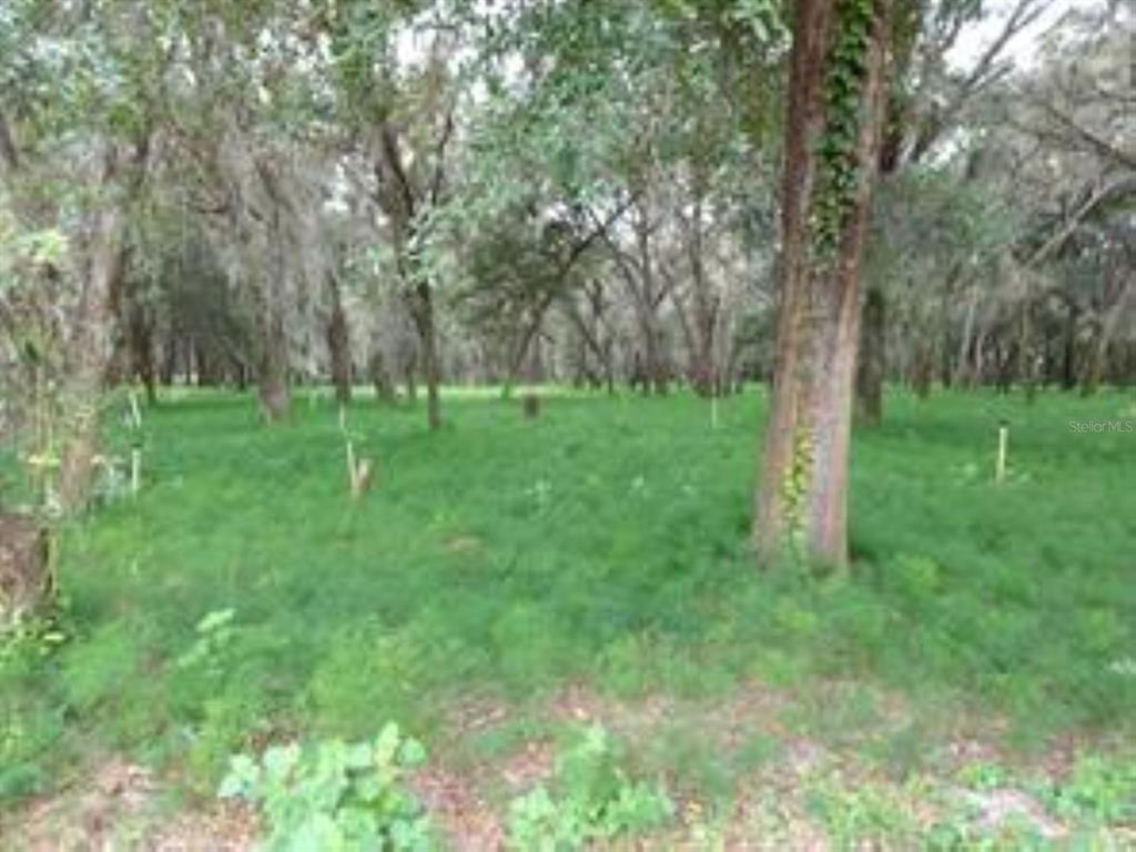 610 Burnsed Road Pierson, FL 32180 - Photo 2 of 14