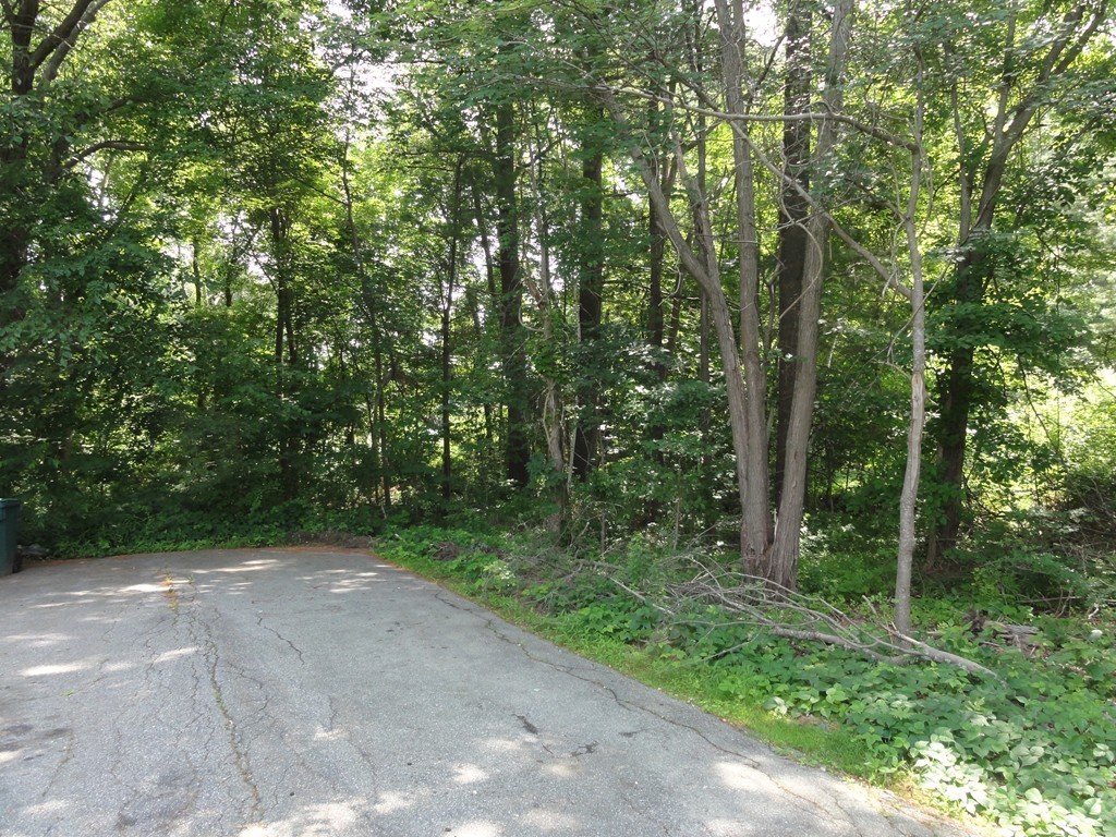 5 Wilson Lane Westford, MA 01886 - Photo 26 of 29 Gallery Image 26