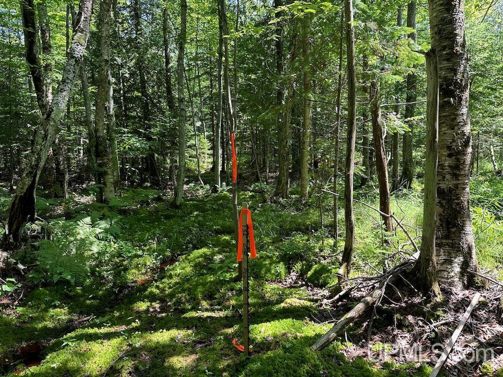 Parcel B Webb Road Grand Marais, MI 49839 - Photo 24 of 28
