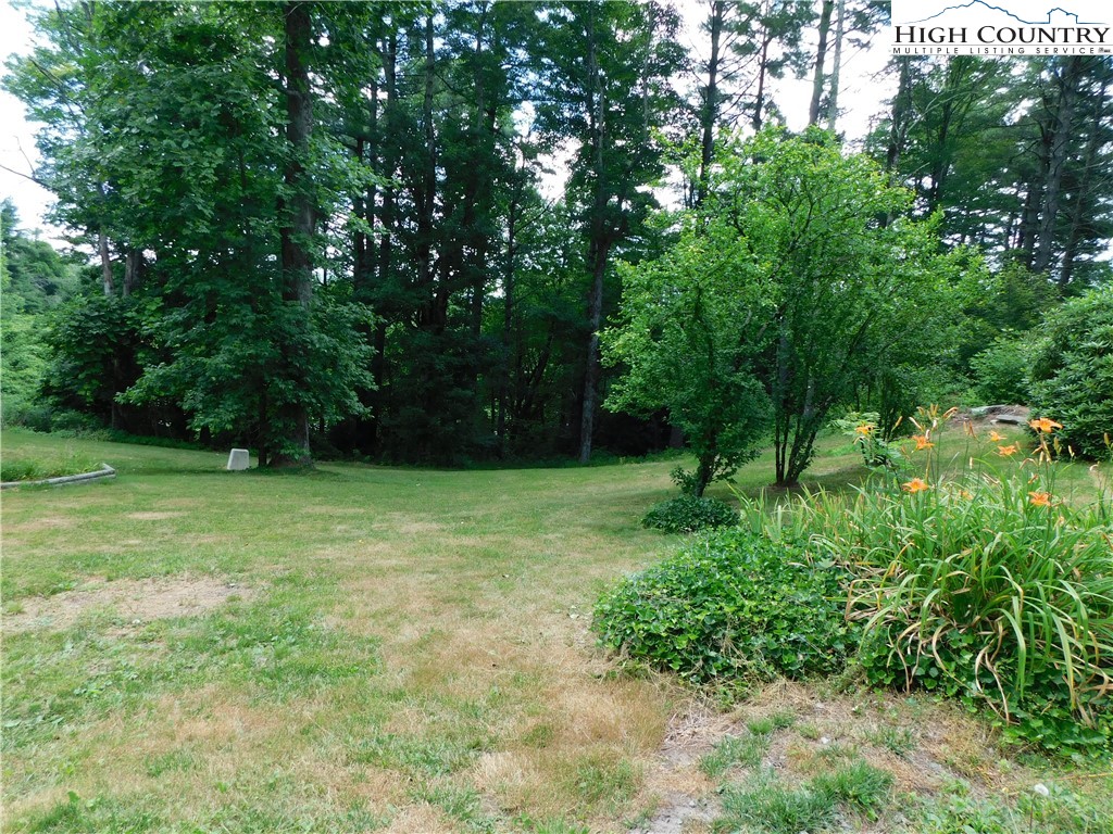 7530 Gingercake Road Newland, NC 28657 - Photo 38 of 43 Gallery Image 38