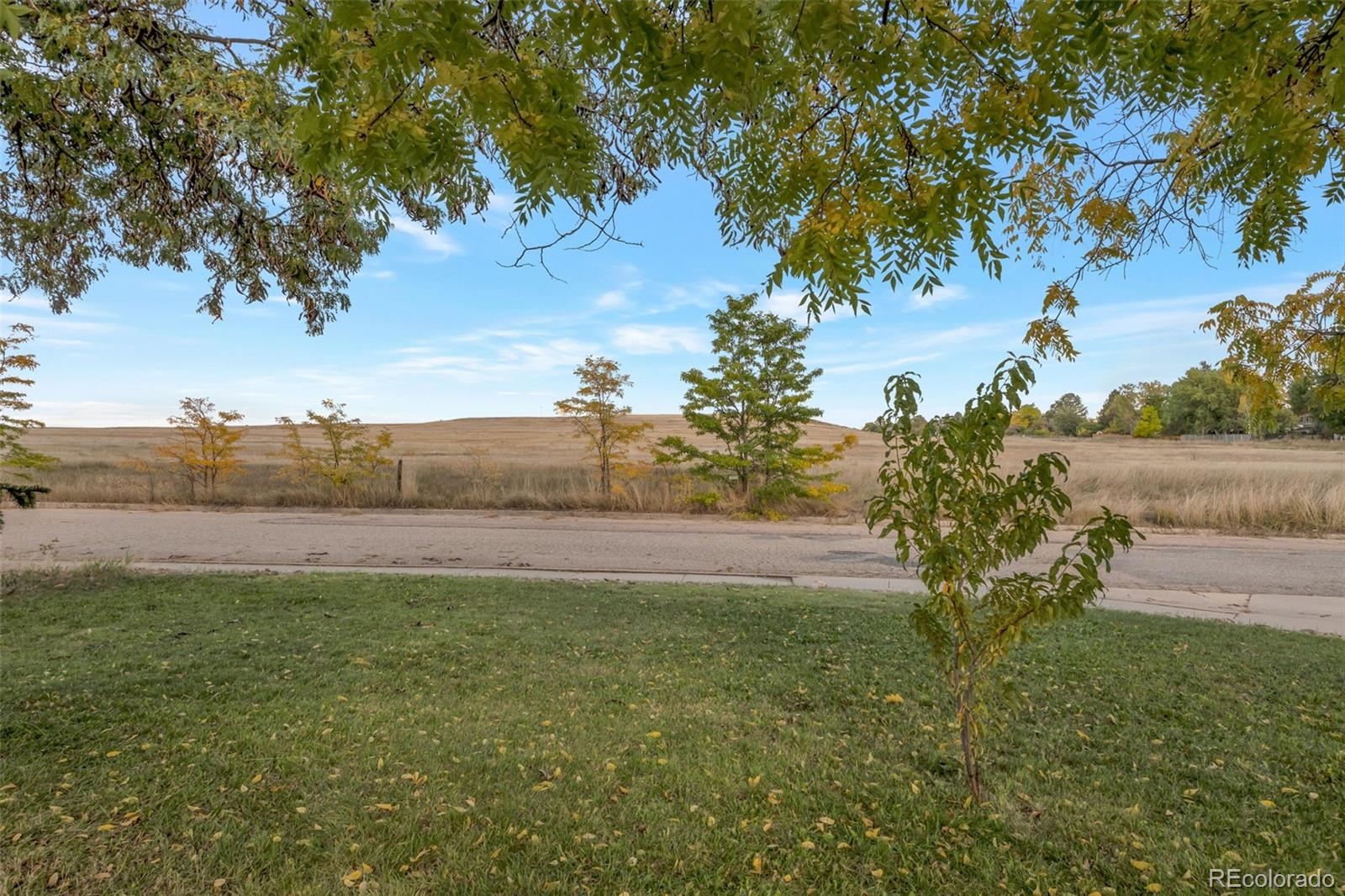 7891 Durham Way Boulder, CO 80301 - Photo 16 of 18 a view of yard with large tree