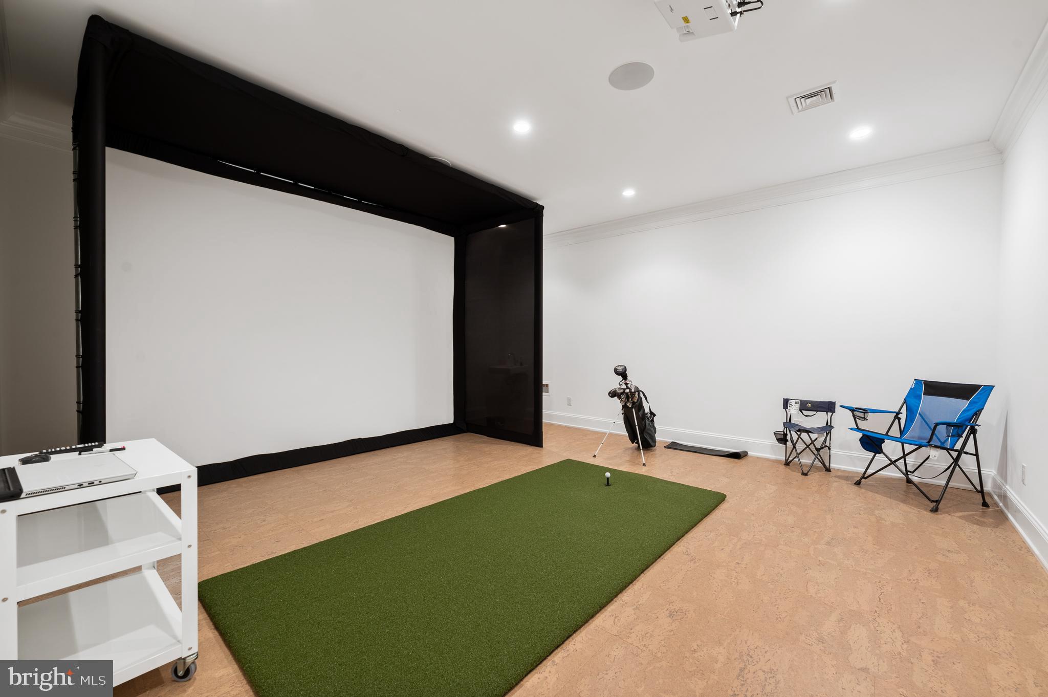 431 Boxwood Road Bryn Mawr, PA 19010 - Photo 66 of 83 Golf Simulator Room w/ cork flooring