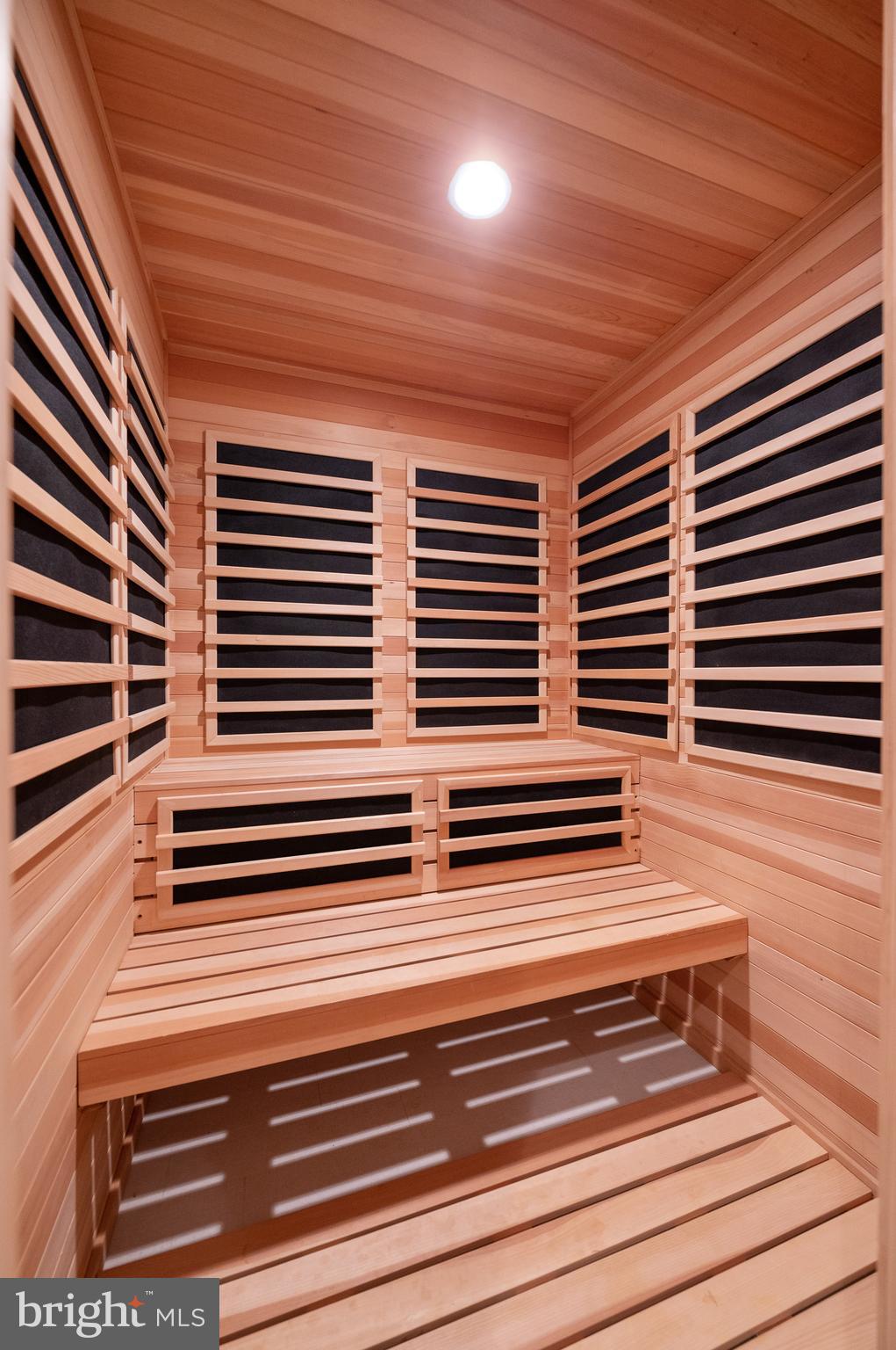 431 Boxwood Road Bryn Mawr, PA 19010 - Photo 68 of 83 Suana off of lower level bath