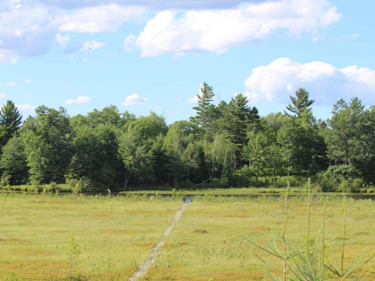 On Grundy Point Road, Unit LOT 2 Minocqua, WI 54548 - Photo 10 of 25 Gallery Image 10